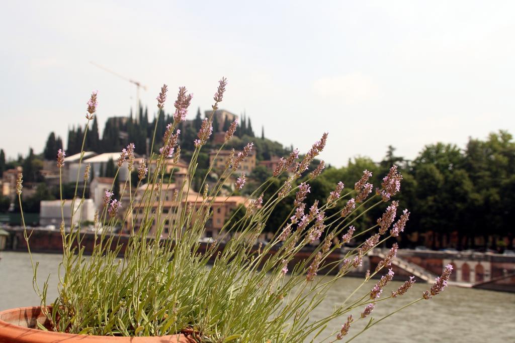 Sottoriva36 Bed & Breakfast Verona Luaran gambar